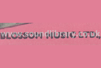 Blossom Music Ltd.