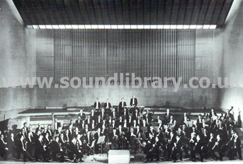 The Berlin Philharmonic Orchestra